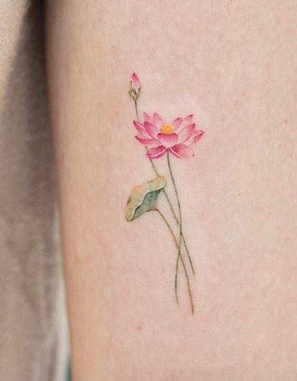 30 Creative Water Lily Tattoos for 2025: Tattoos with Special Meanings