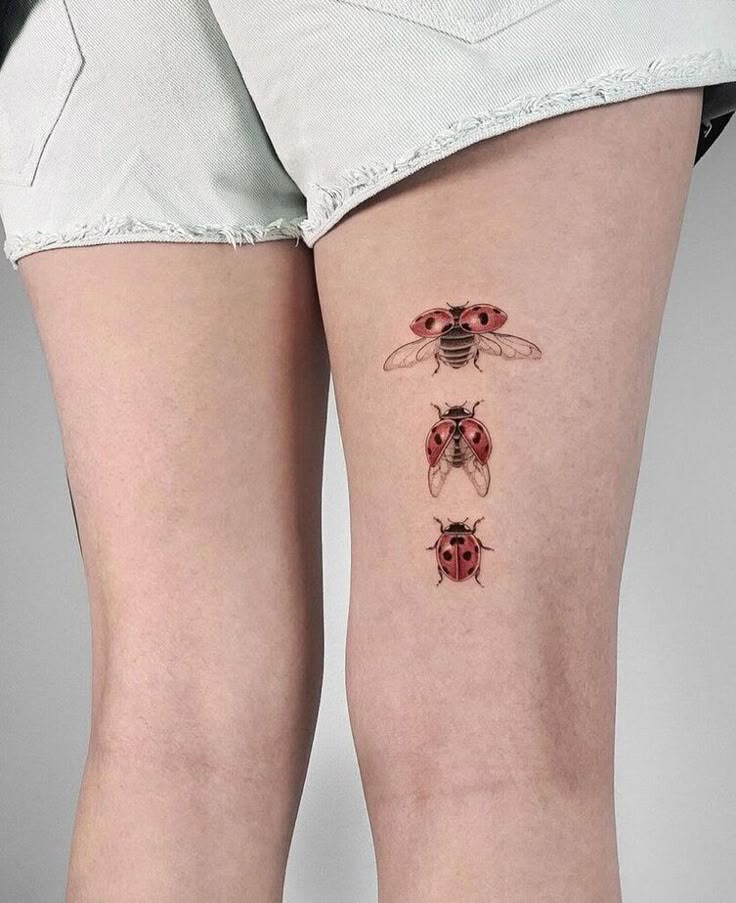 29 Ladybug Tattoo Ideas 2025 with Stencil Designs, Fine Line, Traditional Style, Gothic, Floral