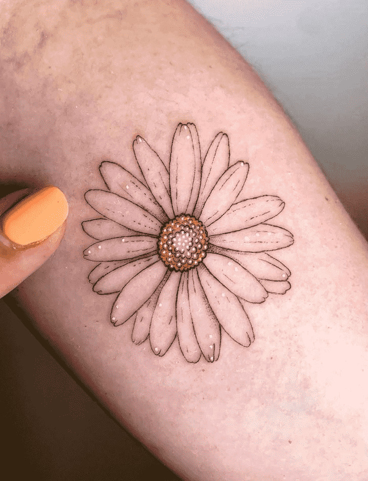 25 Daisy Tattoo Ideas 2025 with Fine Line, Watercolor, Minimalist, Stencil, Traditional &#038; Dainty Designs
