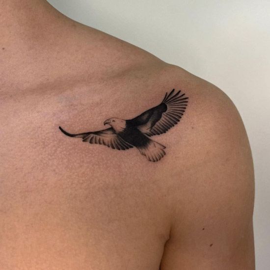 30 Eagle Tattoo Ideas 2025: Bold Designs for Men and Women with Chest, Arm, Forearm, Minimalist