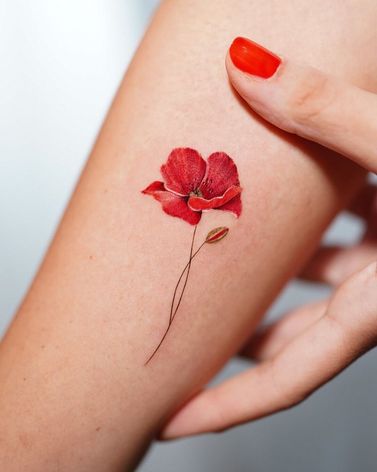28 Poppy Tattoo Ideas 2025 for Women &#038; Men – Fine Line, Traditional, Minimalist &#038; Bold Red Floral Designs