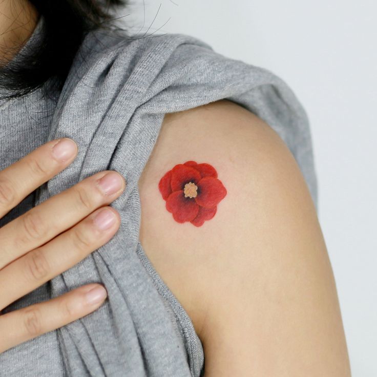 28 Poppy Tattoo Ideas 2025 for Women &#038; Men – Fine Line, Traditional, Minimalist &#038; Bold Red Floral Designs
