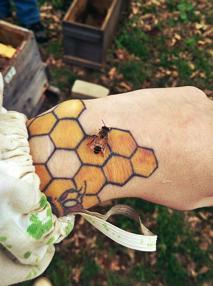 30 Honeycomb Tattoo Ideas 2025 with Bees, Flowers, and Geometric Patterns for Men and Women
