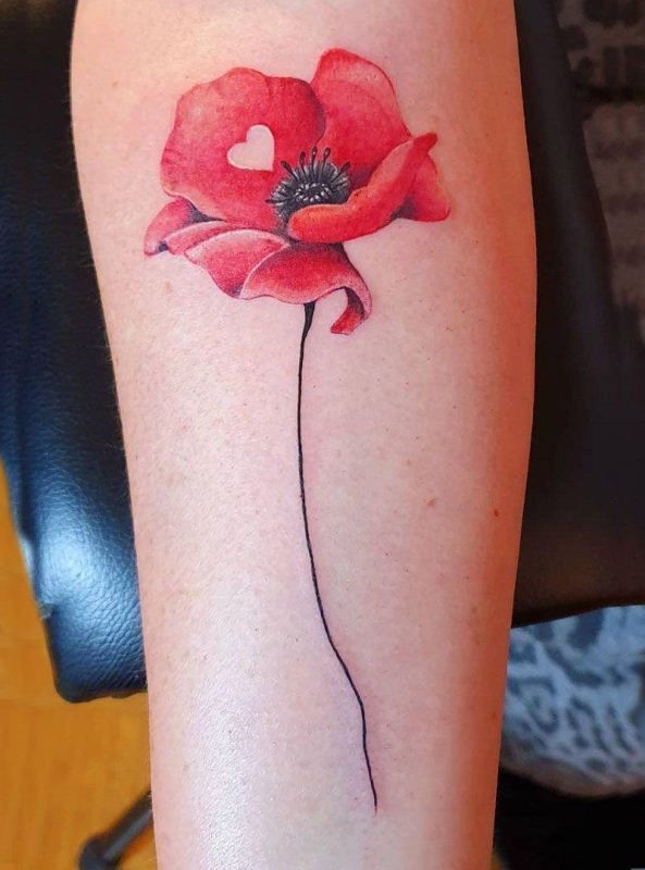 28 Poppy Tattoo Ideas 2025 for Women &#038; Men – Fine Line, Traditional, Minimalist &#038; Bold Red Floral Designs