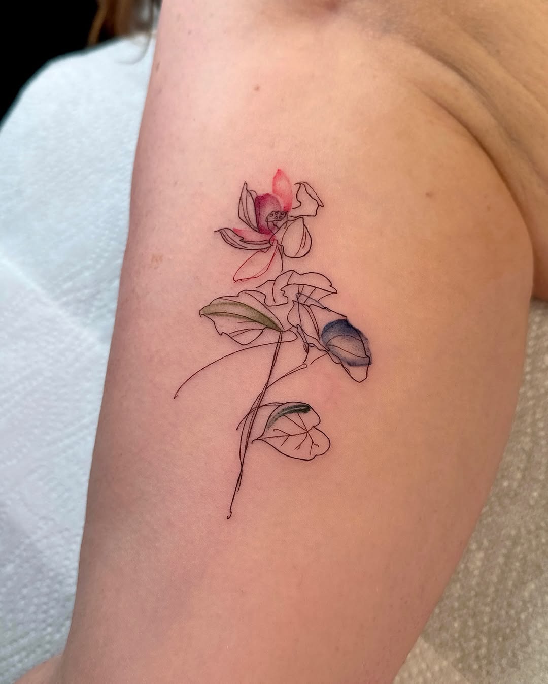 30 Creative Water Lily Tattoos for 2025: Tattoos with Special Meanings