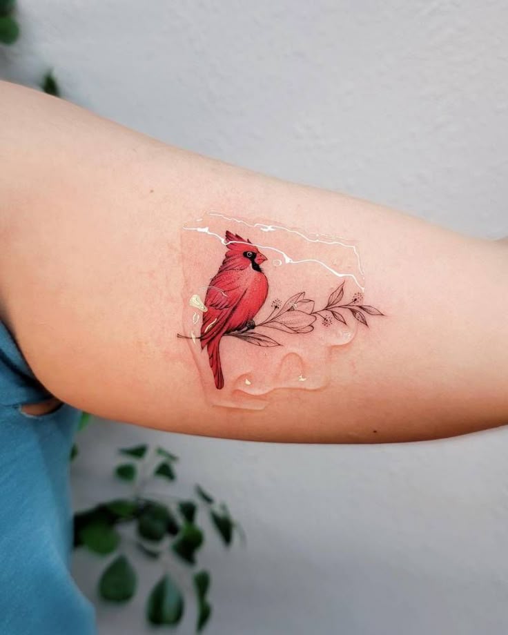 28 Cardinal Tattoo Ideas 2025 for Women and Men: Memorial, Fine Line, Stencil Outline, Small Flying