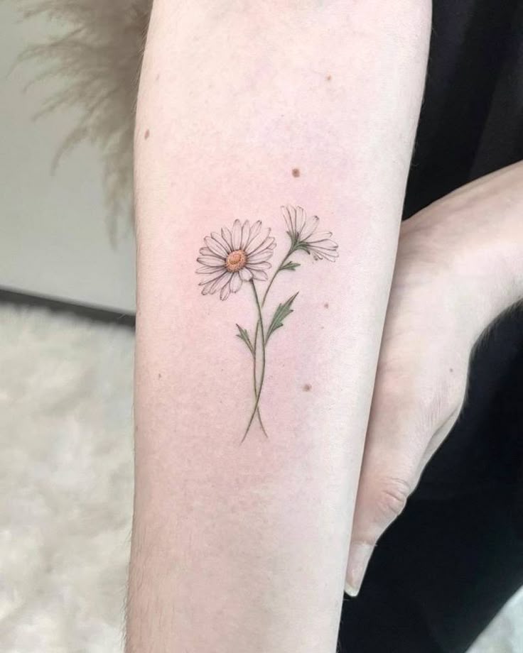 25 Daisy Tattoo Ideas 2025 with Fine Line, Watercolor, Minimalist, Stencil, Traditional &#038; Dainty Designs