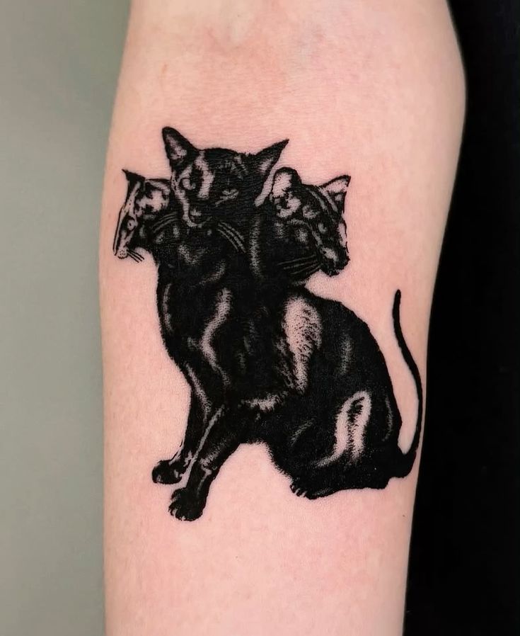 27 Black Cat Tattoo Ideas 2025 – Realistic, Minimalist, Traditional &#038; Witchy Designs
