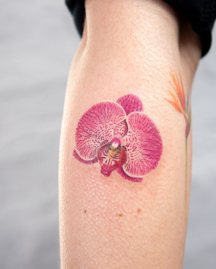 26 Orchid Tattoo Ideas 2025 for Minimalist, Colour, and Fine Line Designs