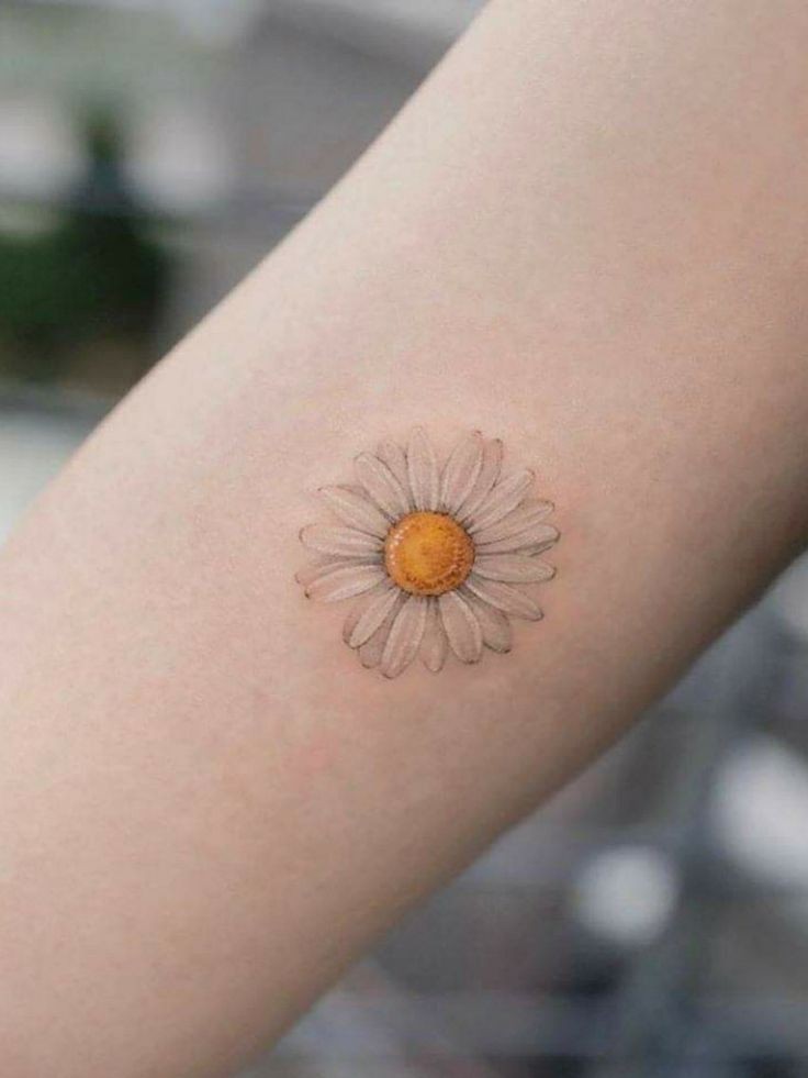 25 Daisy Tattoo Ideas 2025 with Fine Line, Watercolor, Minimalist, Stencil, Traditional &#038; Dainty Designs