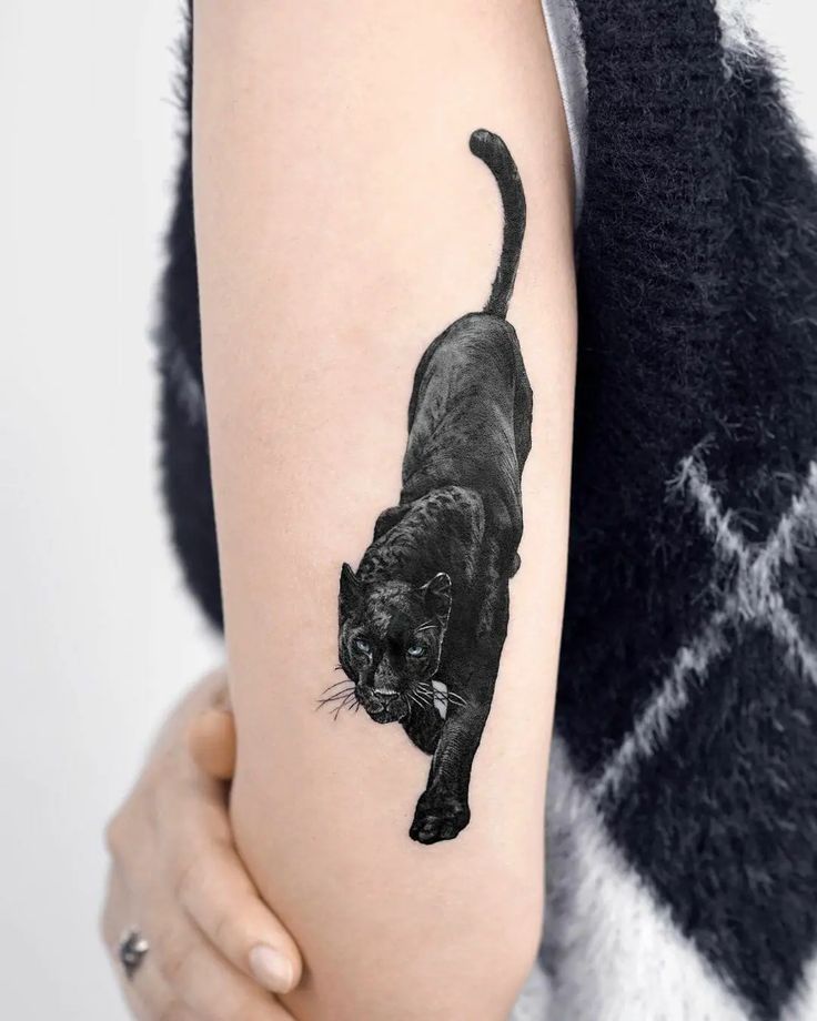 30 Panther Tattoo Ideas 2025 for Men and Women – Traditional, Neo Traditional, Pink, Black Ink
