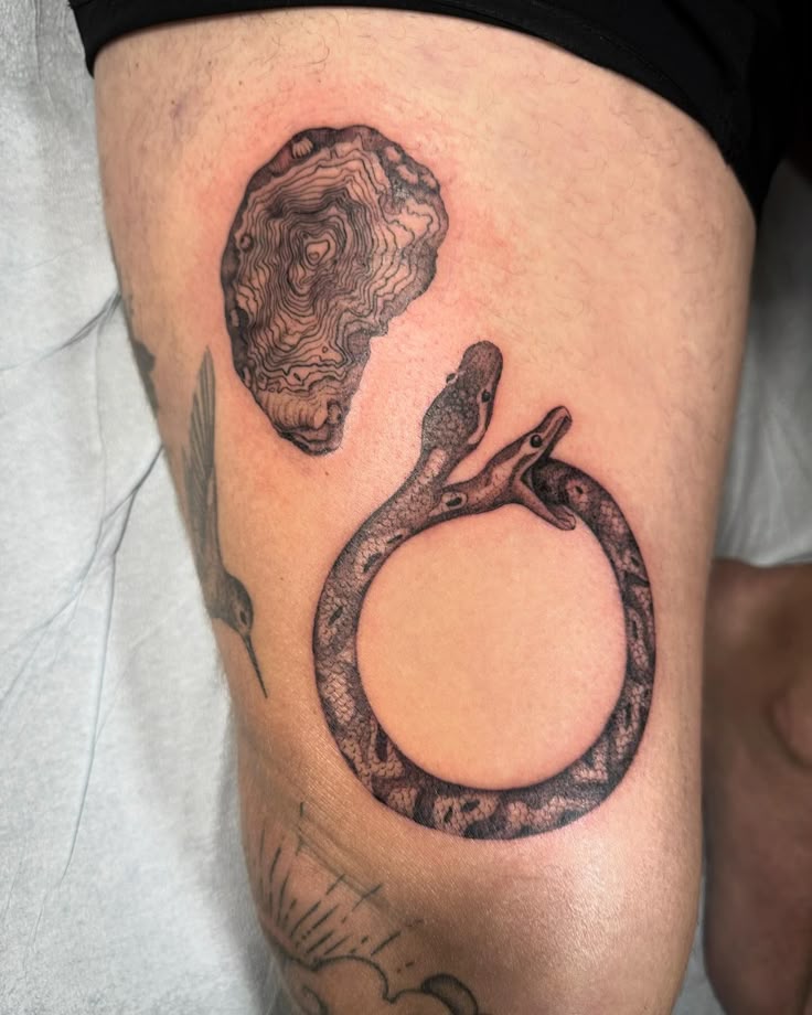 25 Ouroboros Tattoo Ideas 2025: Minimalist, Dragon, FMAB &#038; Traditional Snake Designs