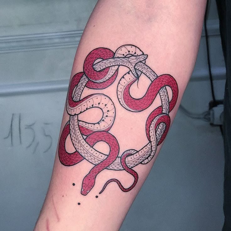 25 Ouroboros Tattoo Ideas 2025: Minimalist, Dragon, FMAB &#038; Traditional Snake Designs