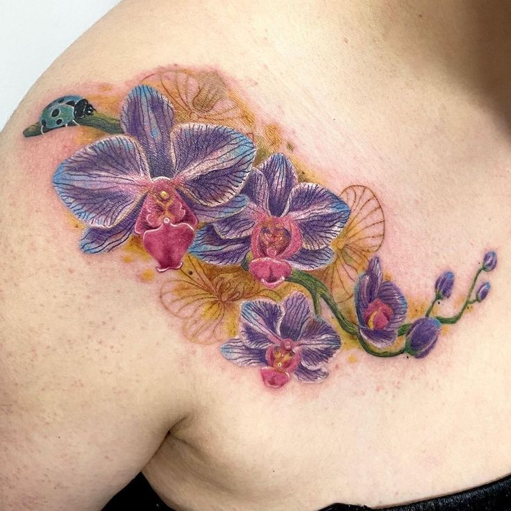 26 Orchid Tattoo Ideas 2025 for Minimalist, Colour, and Fine Line Designs