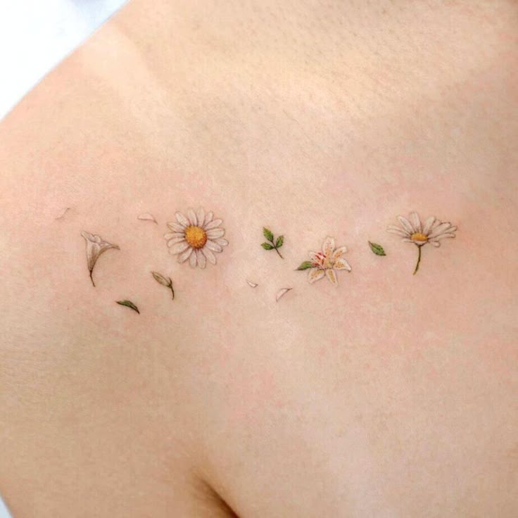 25 Daisy Tattoo Ideas 2025 with Fine Line, Watercolor, Minimalist, Stencil, Traditional &#038; Dainty Designs