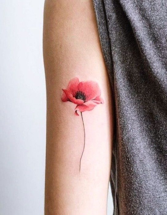 28 Poppy Tattoo Ideas 2025 for Women &#038; Men – Fine Line, Traditional, Minimalist &#038; Bold Red Floral Designs