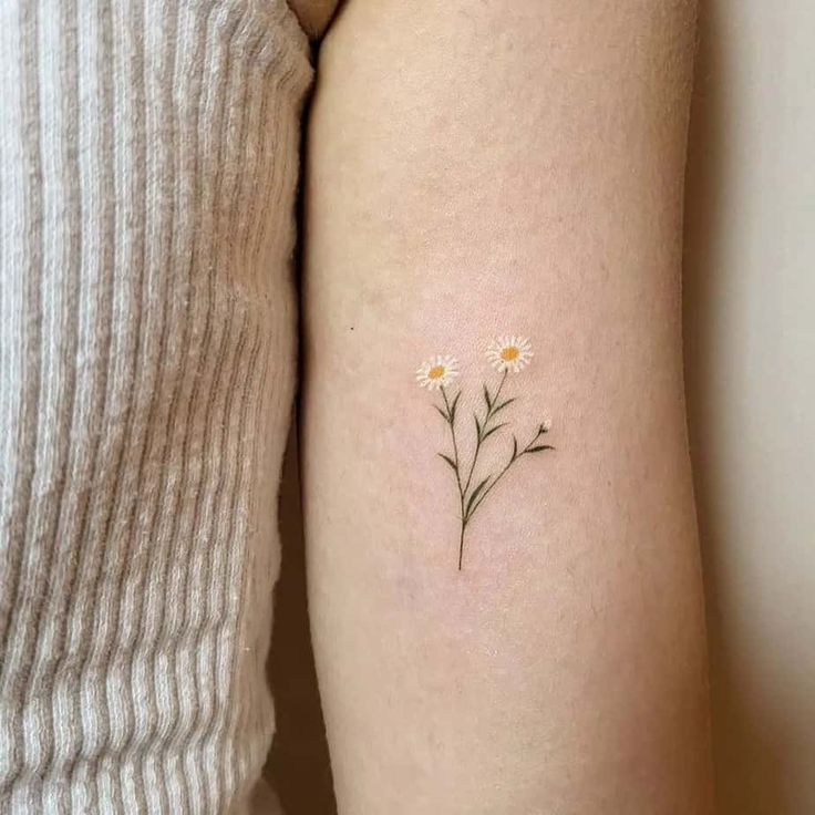 25 Daisy Tattoo Ideas 2025 with Fine Line, Watercolor, Minimalist, Stencil, Traditional &#038; Dainty Designs