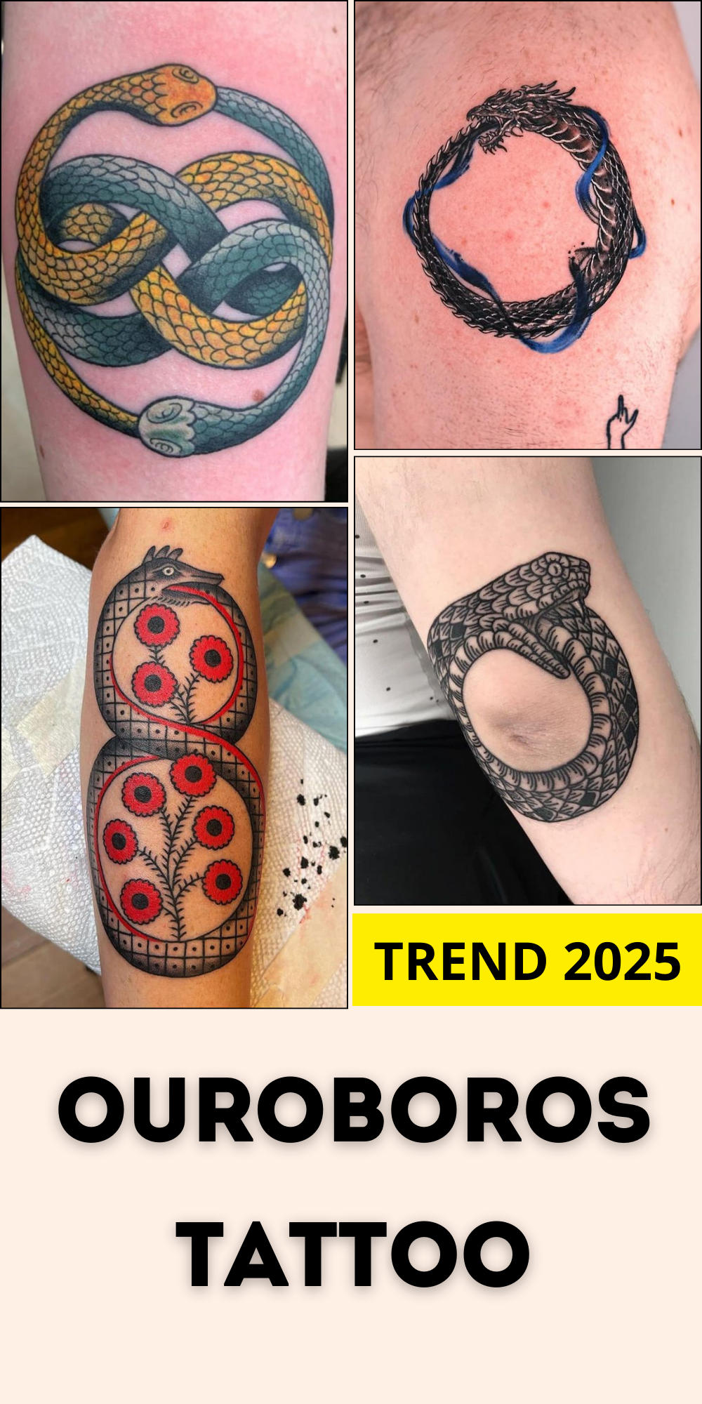 25 Ouroboros Tattoo Ideas 2025: Minimalist, Dragon, FMAB &#038; Traditional Snake Designs