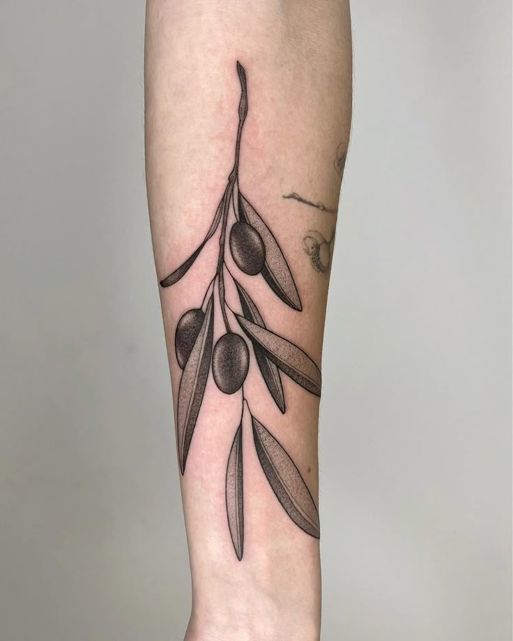 26 Olive Branch Tattoo Ideas 2025: Fine Line, Arm Wrap, Minimal, American Traditional Designs