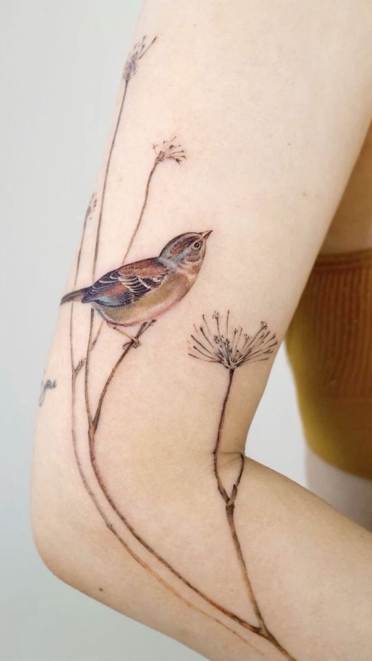 29 Sparrow Tattoo Ideas 2025: Traditional, Men Arm and Hand Designs, Meaningful Bird Tattoos