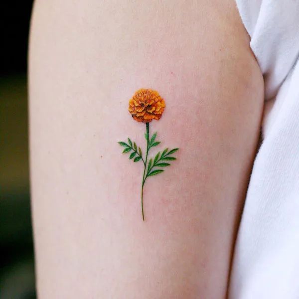 26 Marigold Tattoo Ideas 2025 for Every Style – Fineline, Realistic, Black and White, Traditional, and Color Designs