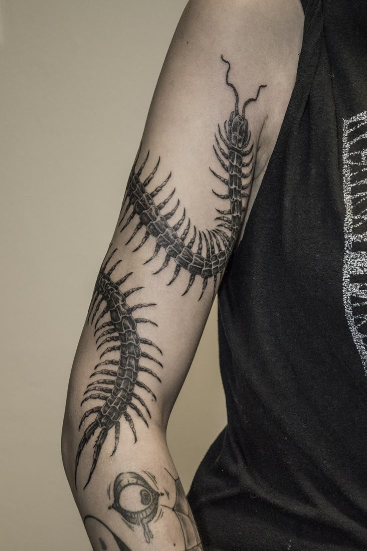 31 Centipede Tattoo Ideas 2025: Blackwork, Traditional, Tokyo Ghoul, Spider Lily, Skull, Giant Back