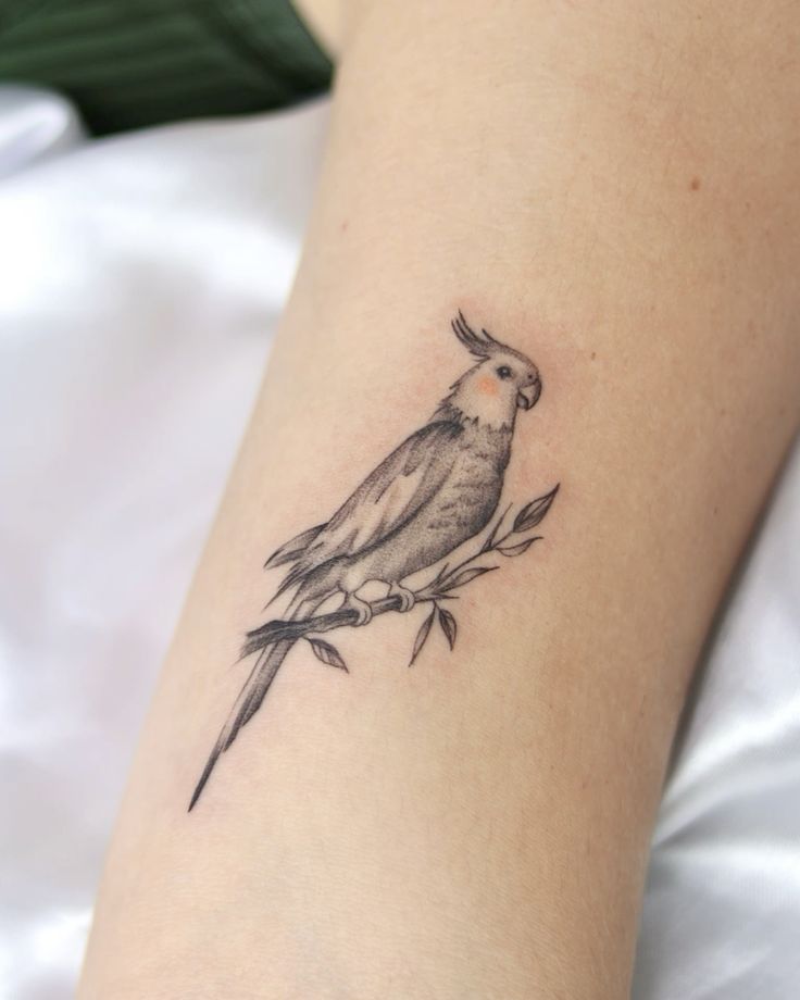 26 Bird Tattoo Ideas 2025 With Meaningful Designs For Men And Women