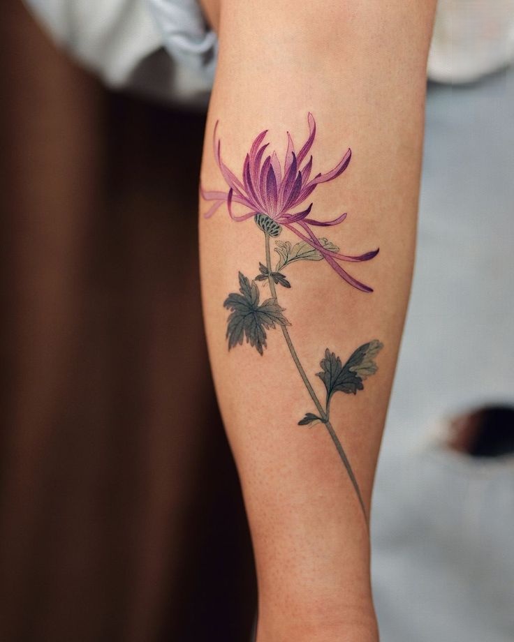 32 Chrysanthemum Tattoo Ideas 2025: Japanese Traditional, Fineline, Sleeve, Stencil, Red And Black