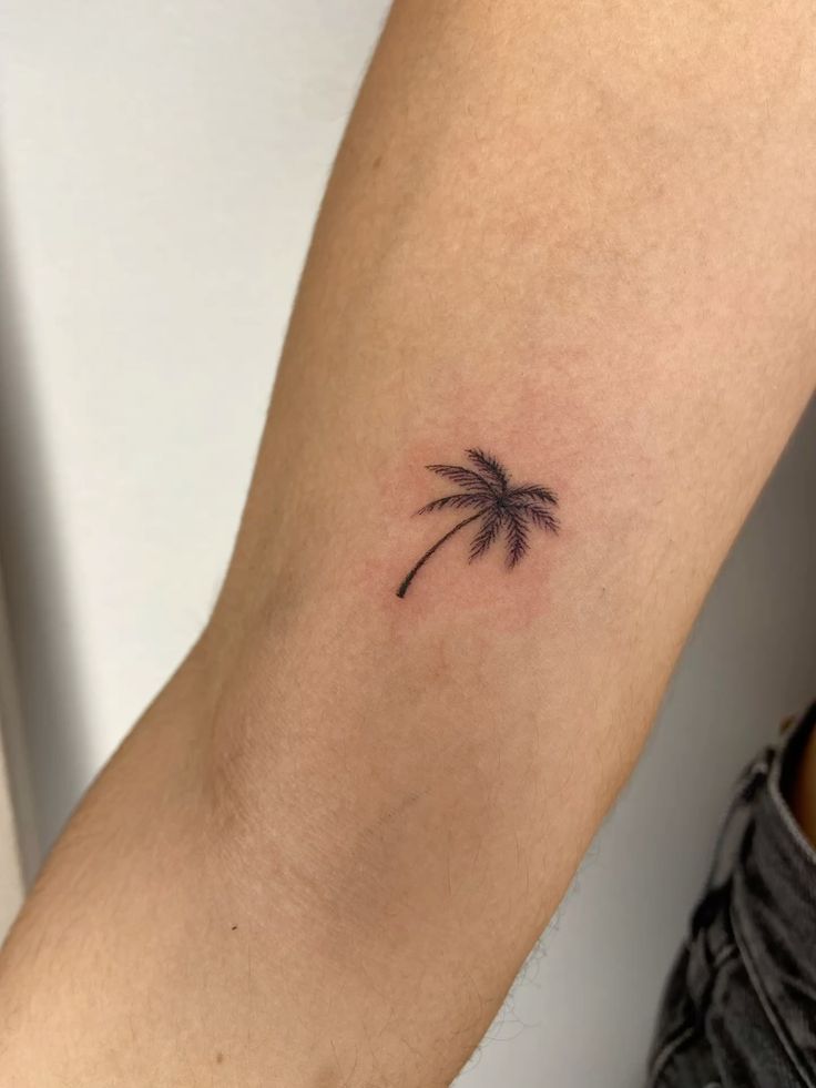 25 Palm Tree Tattoo Ideas 2025 for Women and Men – Minimalist, Traditional, Forearm &#038; Tropical Design Inspiration