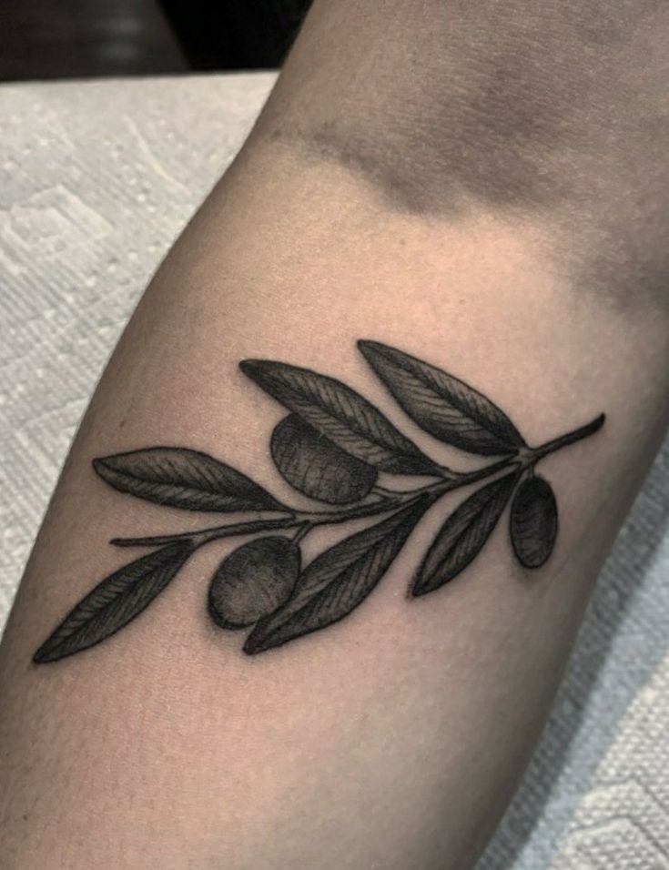26 Olive Branch Tattoo Ideas 2025: Fine Line, Arm Wrap, Minimal, American Traditional Designs
