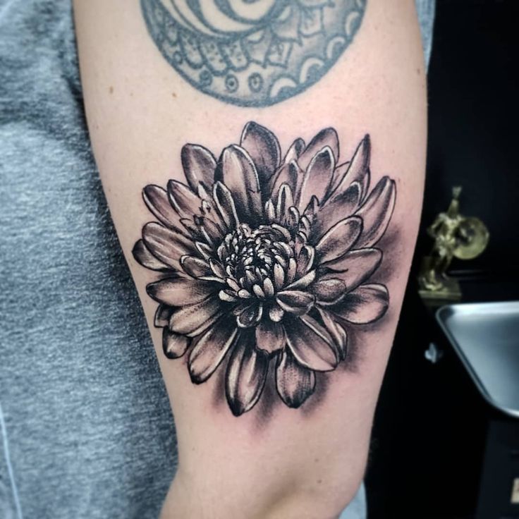 32 Chrysanthemum Tattoo Ideas 2025: Japanese Traditional, Fineline, Sleeve, Stencil, Red And Black