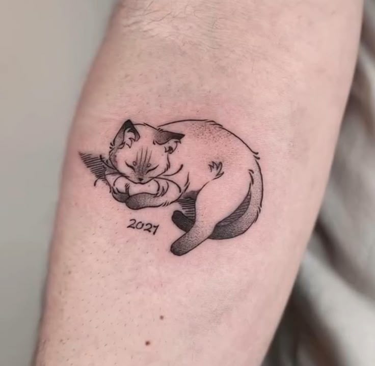 Here Are 28 Cat Tattoo Ideas to Consider in 2025 for Women and Men: Minimalist, Funny, Gothic