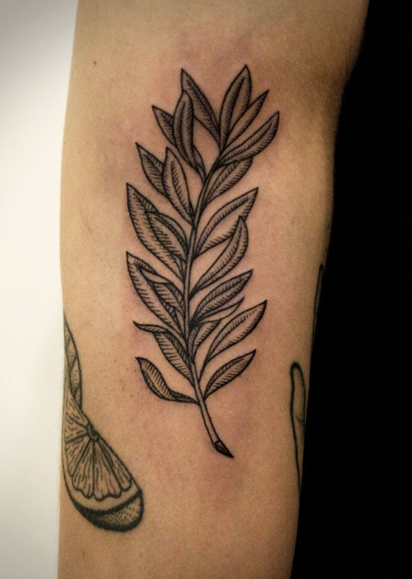 26 Olive Branch Tattoo Ideas 2025: Fine Line, Arm Wrap, Minimal, American Traditional Designs