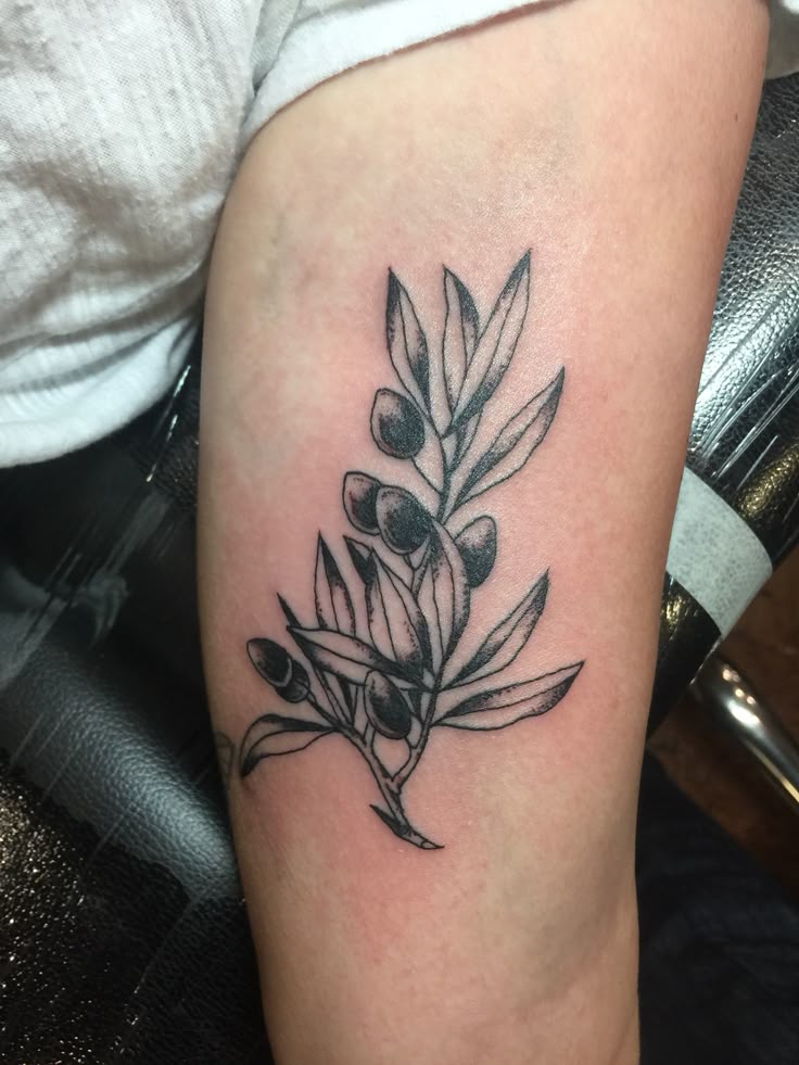 26 Olive Branch Tattoo Ideas 2025: Fine Line, Arm Wrap, Minimal, American Traditional Designs