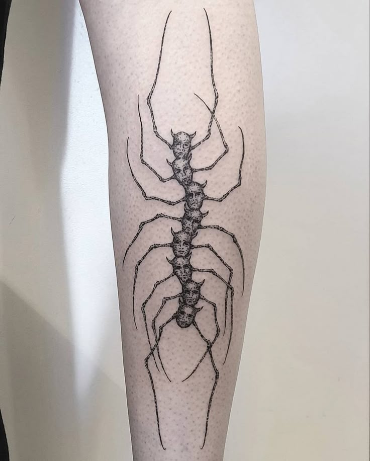 31 Centipede Tattoo Ideas 2025: Blackwork, Traditional, Tokyo Ghoul, Spider Lily, Skull, Giant Back