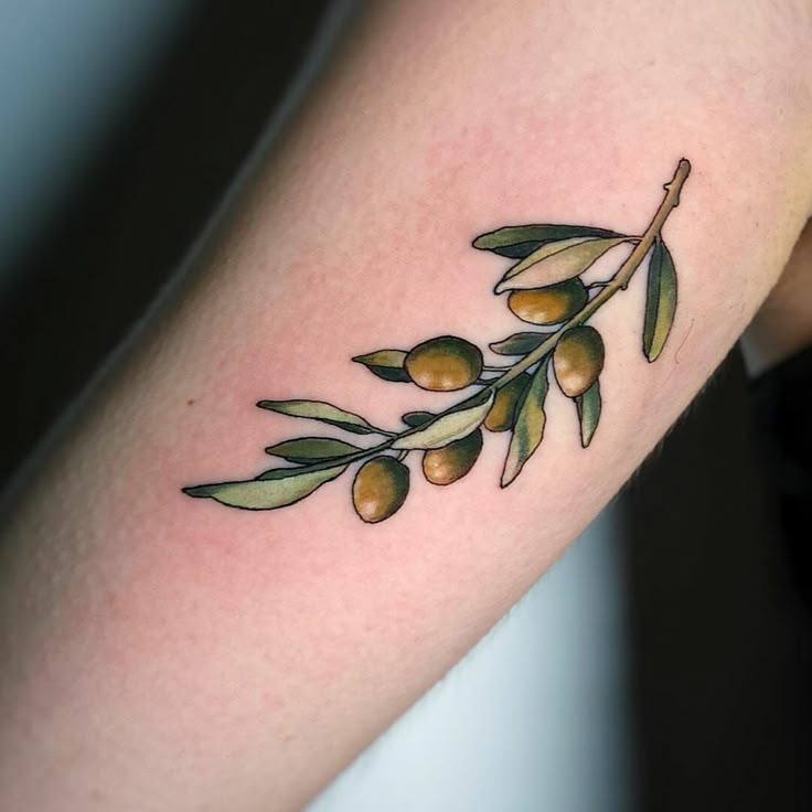 26 Olive Branch Tattoo Ideas 2025: Fine Line, Arm Wrap, Minimal, American Traditional Designs