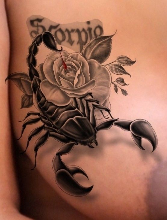 29 Scorpio Tattoo Ideas 2025: Unique Designs with Traditional Styles and Feminine Aesthetic