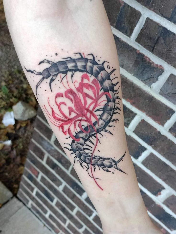31 Centipede Tattoo Ideas 2025: Blackwork, Traditional, Tokyo Ghoul, Spider Lily, Skull, Giant Back