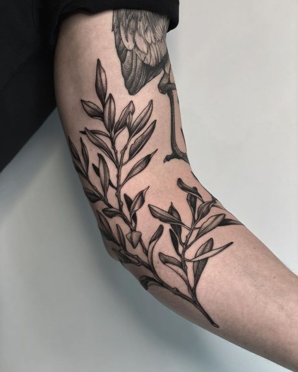 26 Olive Branch Tattoo Ideas 2025: Fine Line, Arm Wrap, Minimal, American Traditional Designs