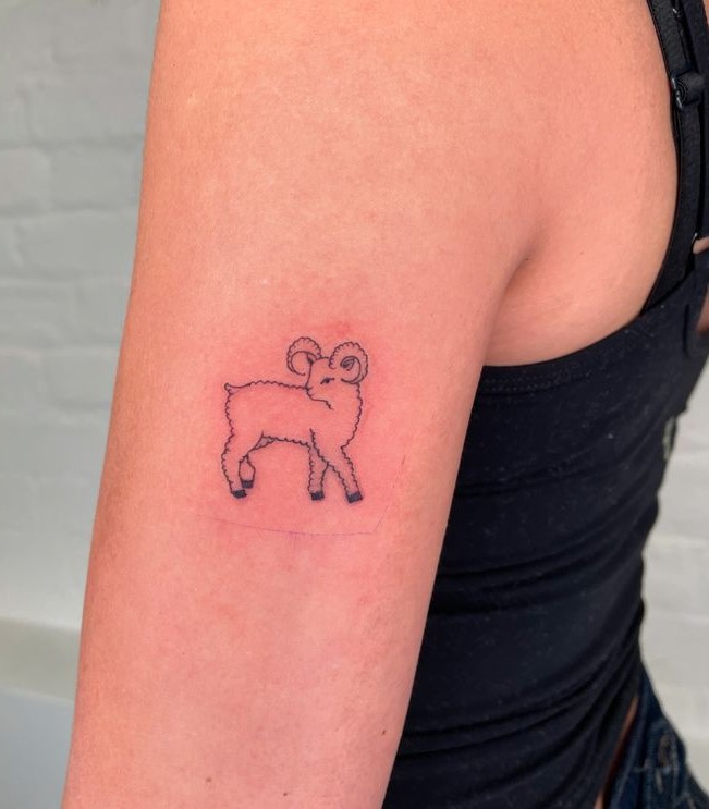 25 Aries Tattoo Ideas 2025 for Men &#038; Women – Unique Minimalist Designs, Zodiac Symbols