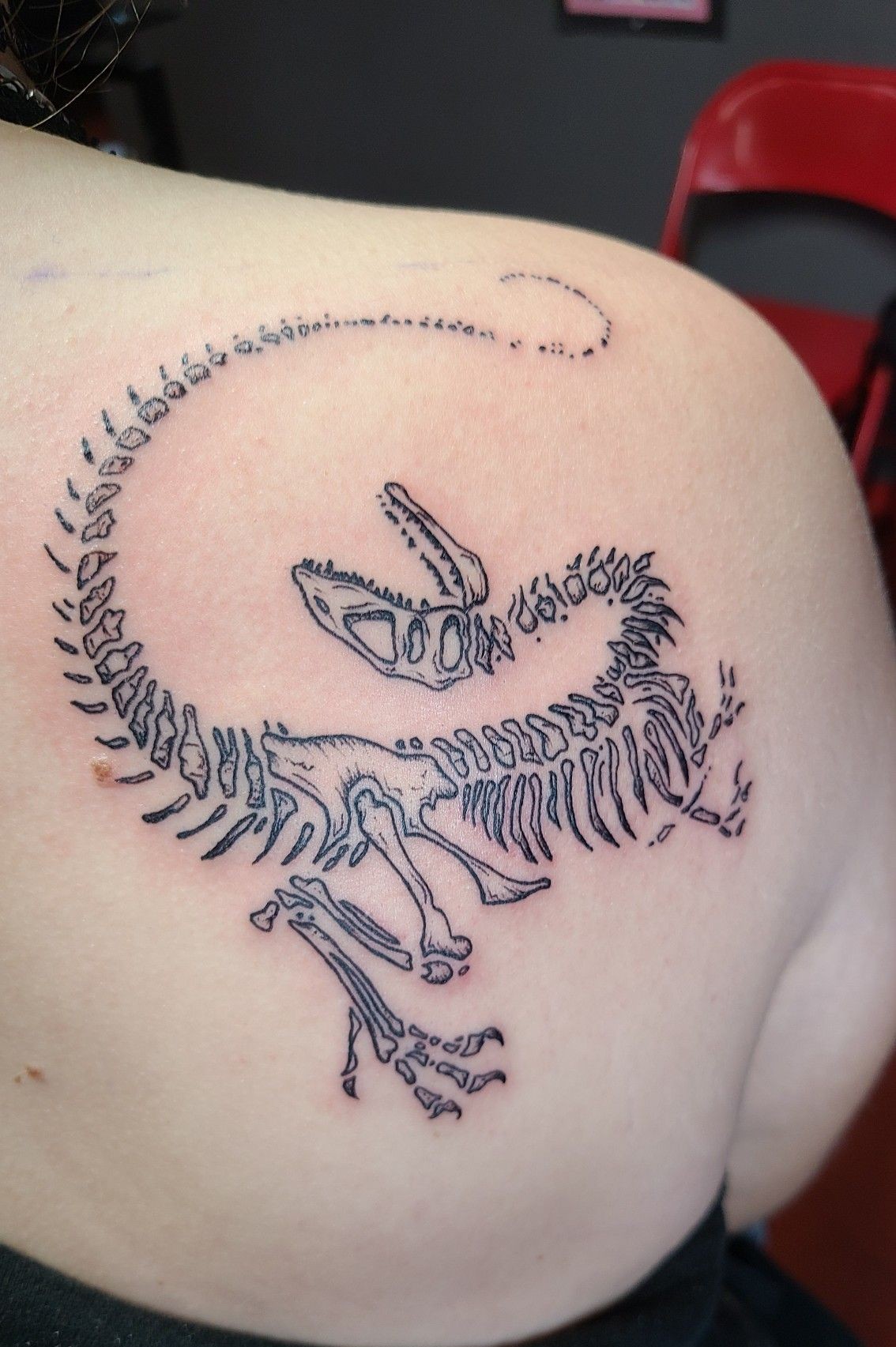 29 Dinosaur Tattoo Ideas 2025 Cute, Sleeve, Realistic, Fine Line, Flash, Neo Traditional, And More