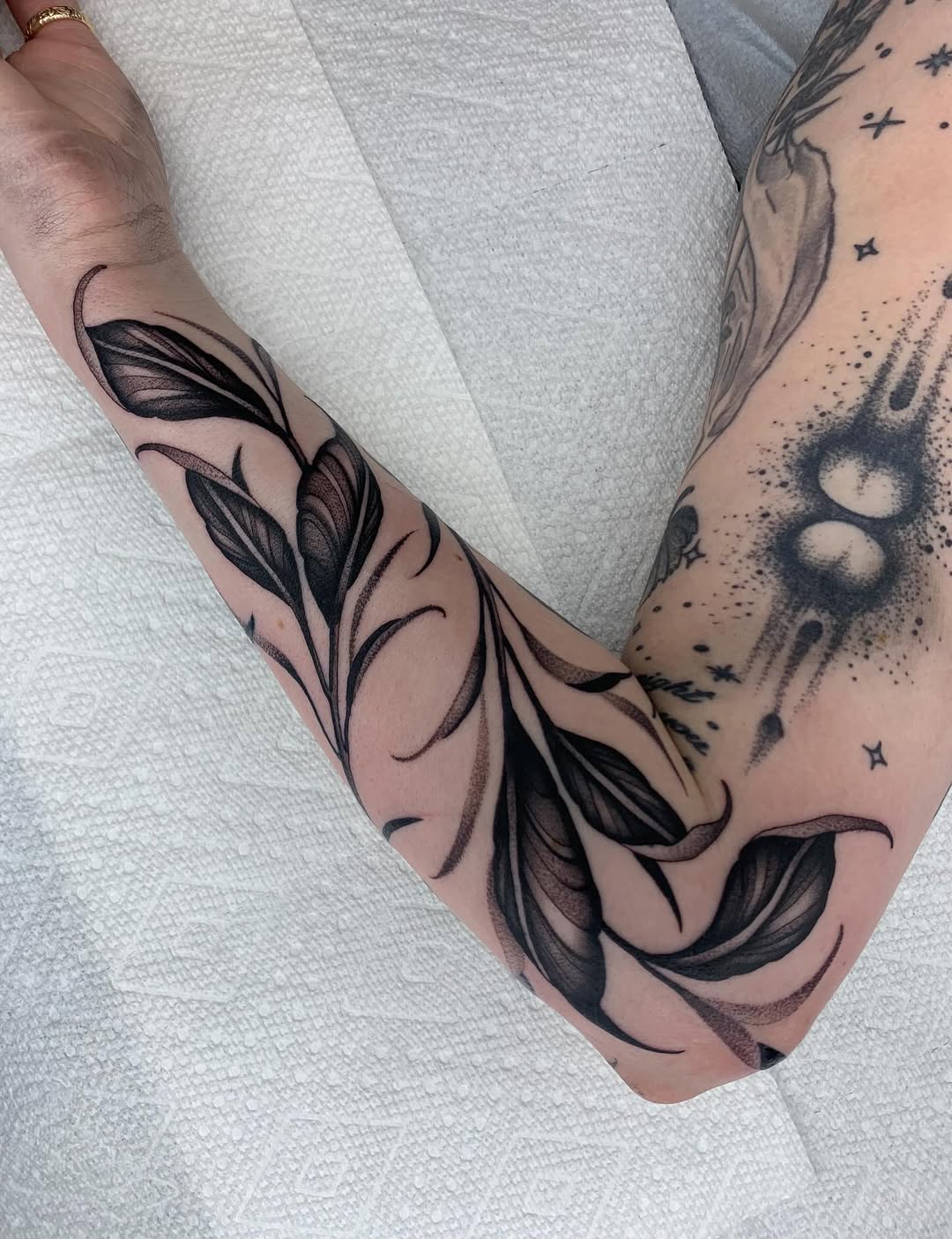 25 Vine Tattoo Designs for Women and Men – Sleeve, Arm, Shoulder, Traditional, Wrap Around Ideas