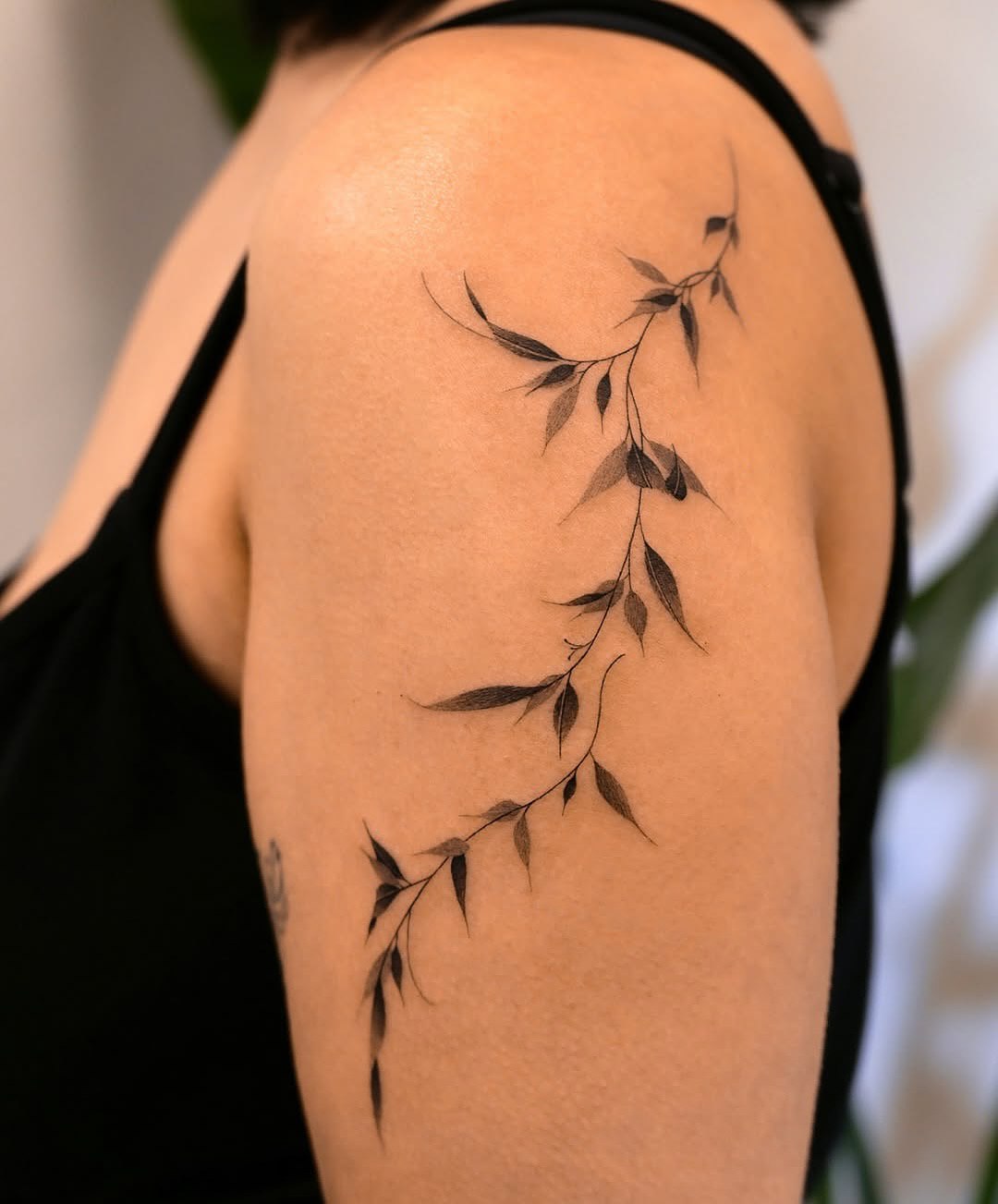 25 Vine Tattoo Designs for Women and Men – Sleeve, Arm, Shoulder, Traditional, Wrap Around Ideas