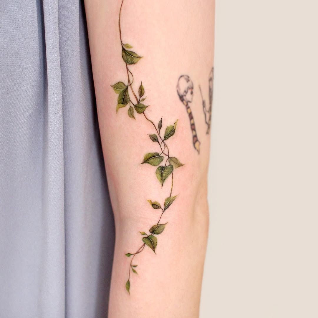 25 Vine Tattoo Designs for Women and Men – Sleeve, Arm, Shoulder, Traditional, Wrap Around Ideas