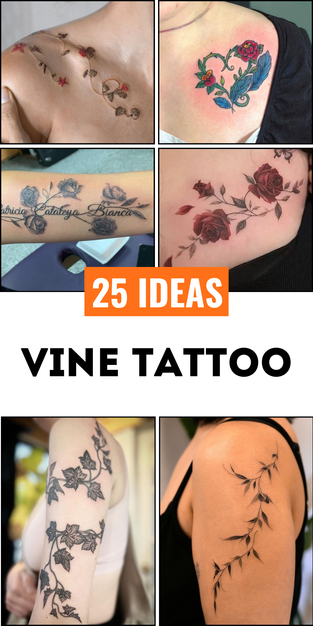 25 Vine Tattoo Designs for Women and Men – Sleeve, Arm, Shoulder, Traditional, Wrap Around Ideas