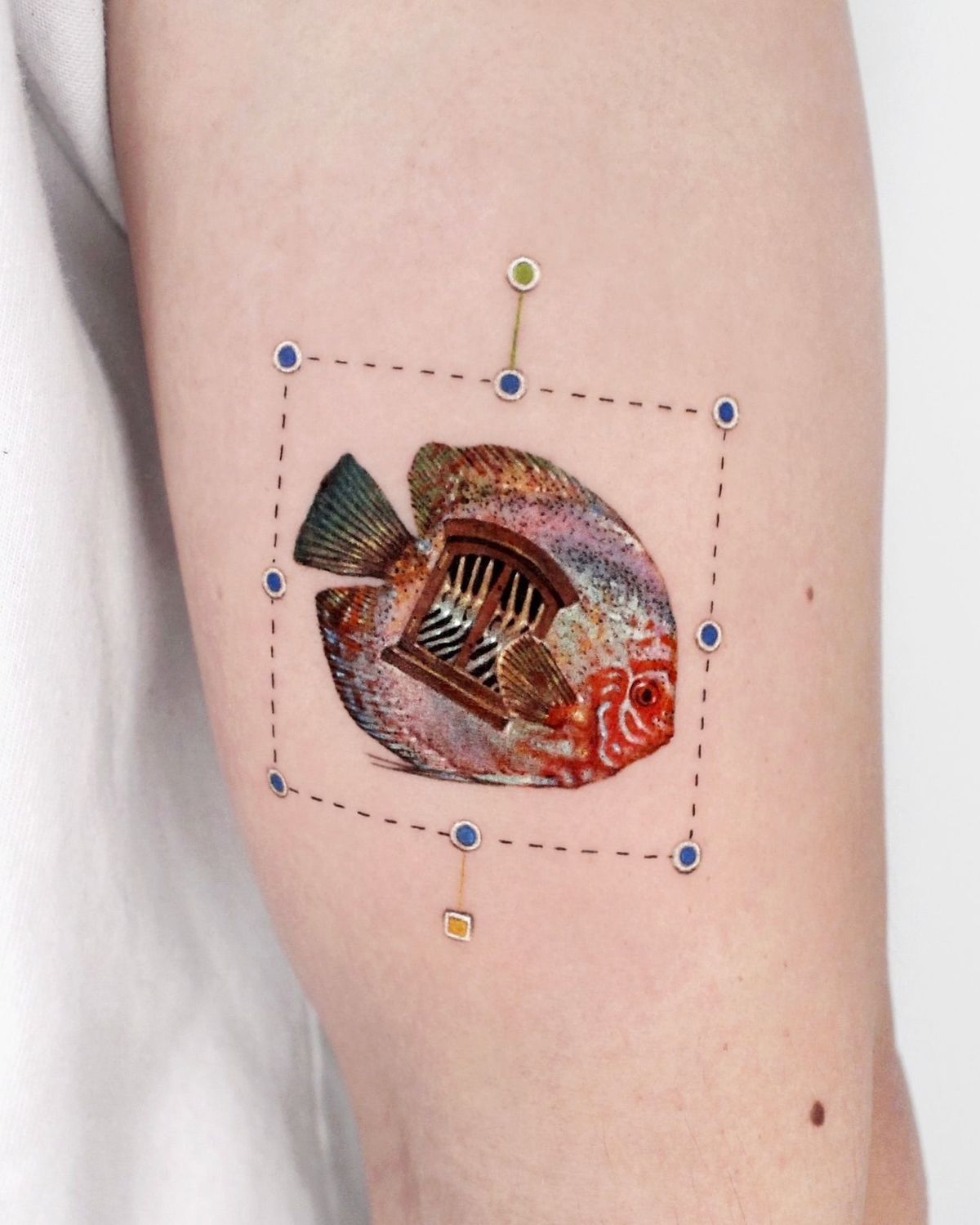 27 Fish Tattoo Designs With Meaning – Koi, Minimalist, and Traditional Styles