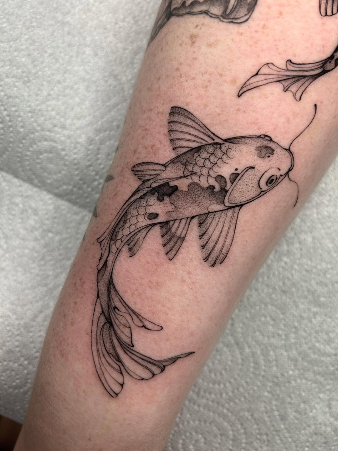27 Fish Tattoo Designs With Meaning – Koi, Minimalist, and Traditional Styles