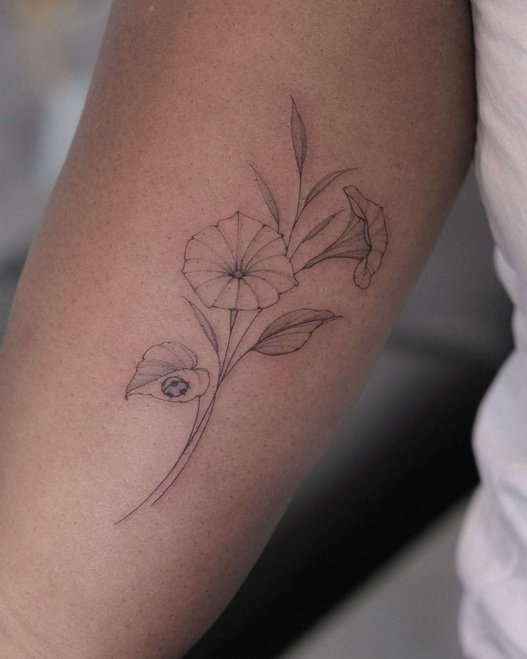 29 Morning Glory Tattoo Ideas: Elegant Vines, Quiet Symbolism, and Wearable Color