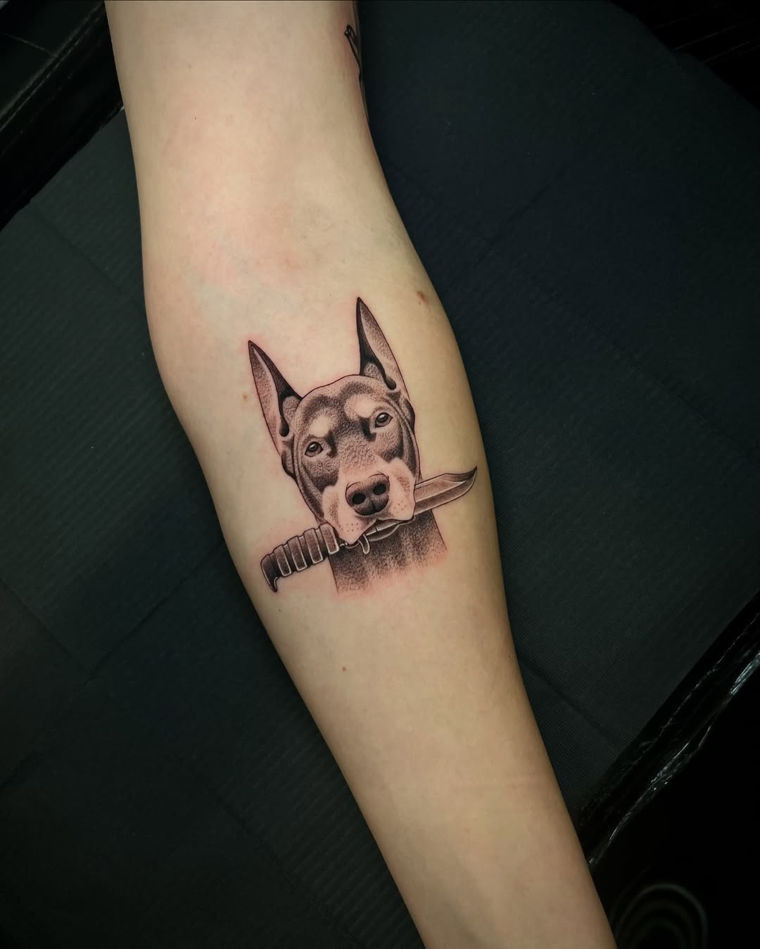 28 Doberman Tattoo Ideas: Designs That Capture Loyalty, Power, and Poise