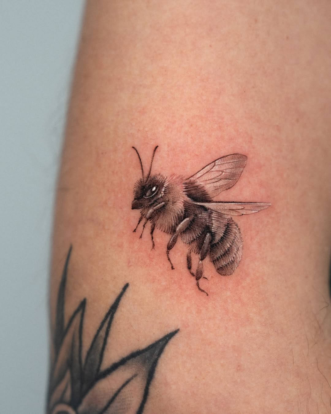 27 Bumble Bee Tattoo Ideas: From Fine-Line Minis to Fuzzy Realism